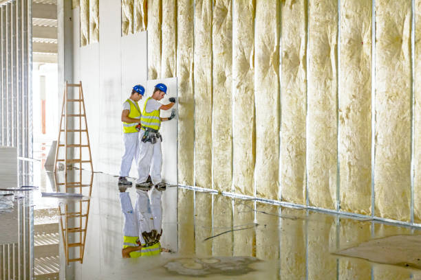Best Types of Insulation in Princeton, KY